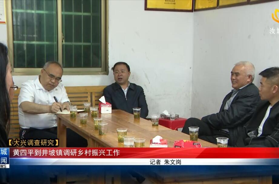 【大兴调查研究】黄四平到井坡镇调研乡村振兴工作