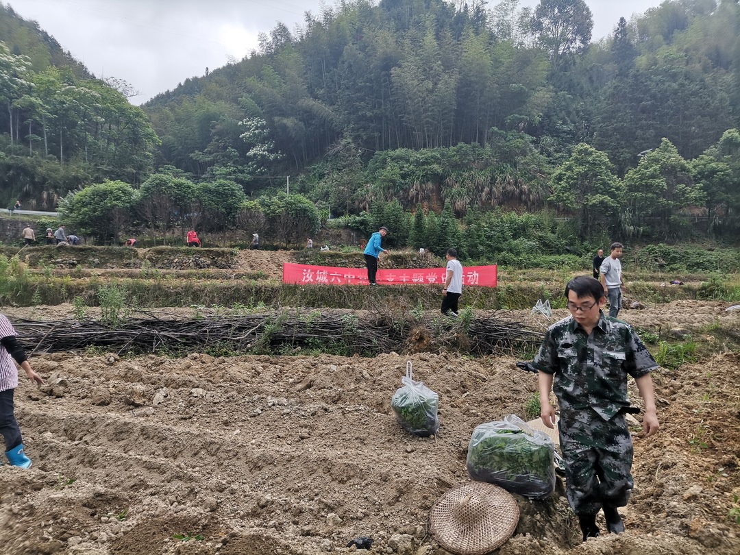 集益乡桥头村：干群同心，奋战在春耕防汛一线