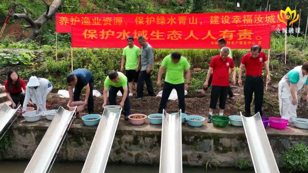 打好“发展六仗” | 300万尾鱼苗投放湘江流域浙水河 变身河水“净化器”