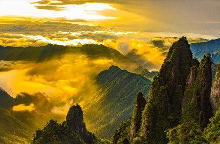 热烈一夏 | 与其向往不如出发·珍奇莽山