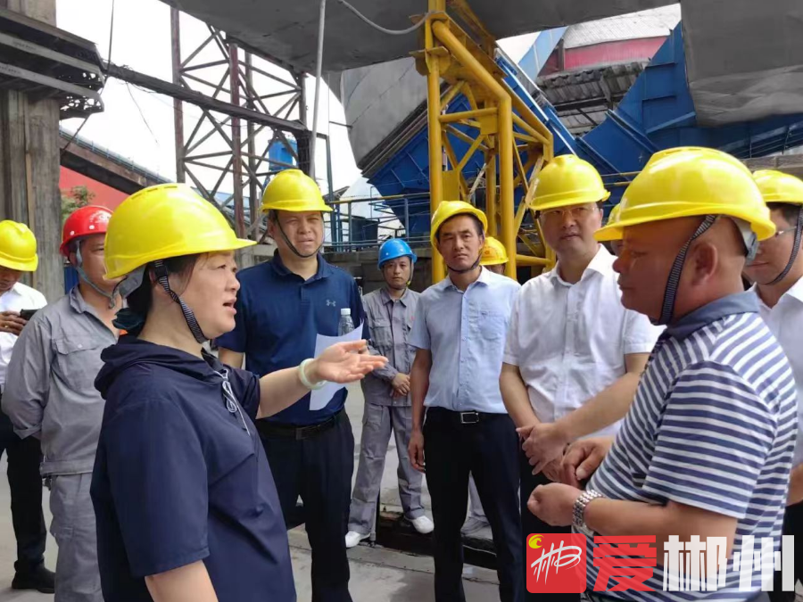 第二轮湖南省生态环境保护例行督察：省第三生态环境保护督察组督导交办信访件办理情况
