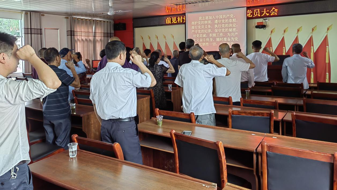 泉水镇开展庆“七一”系列党建活动