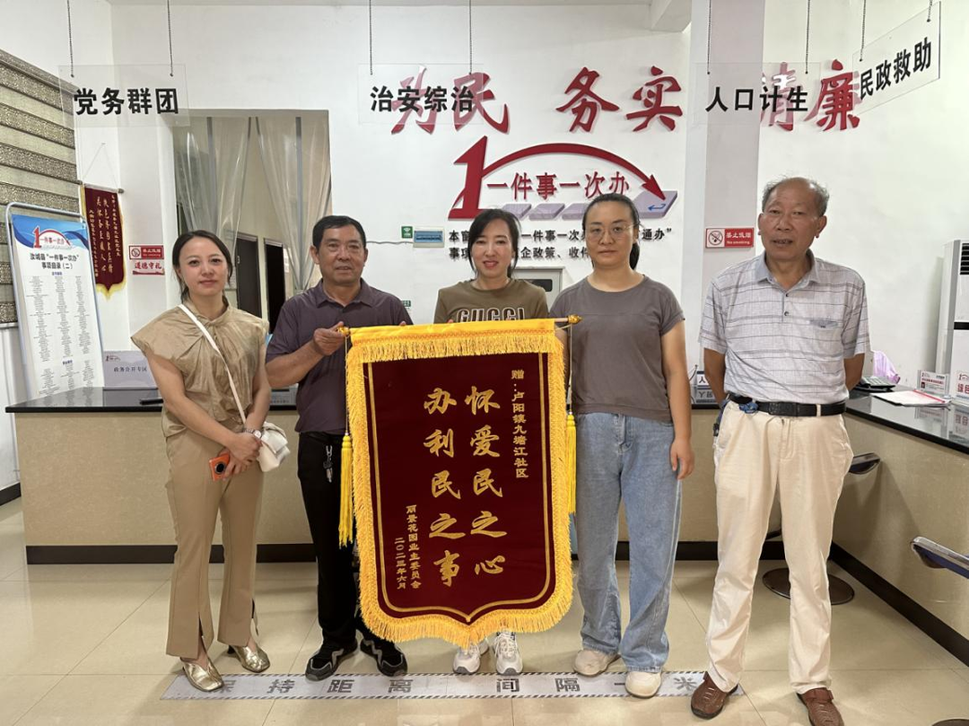 汝城卢阳镇修线路“畅”民心获锦旗!