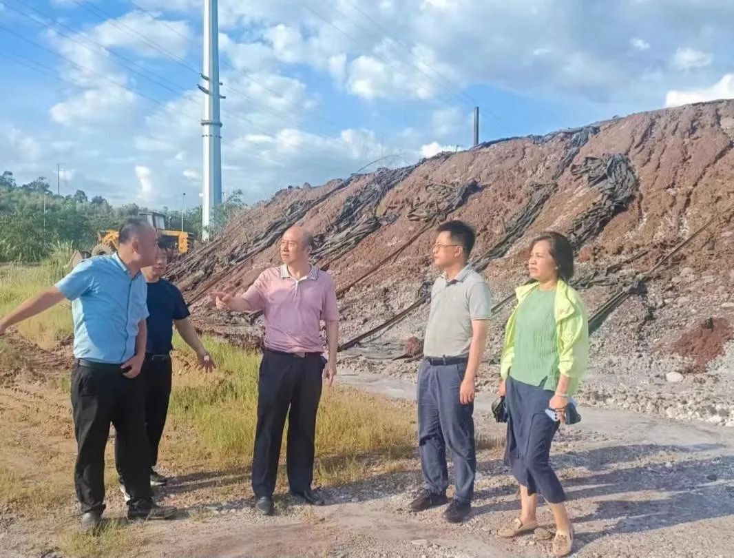 典型案例整改 | 市生态环境局现场督导东河秧溪桥断面典型案例整改工作