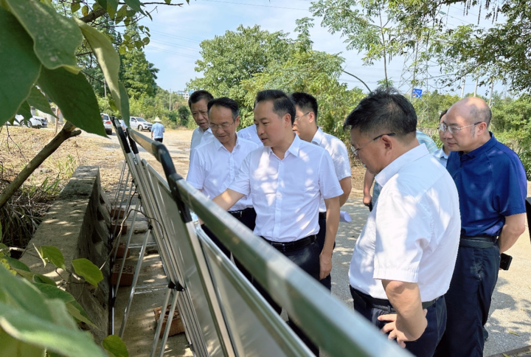 同向发力 迅速行动！郴州市积极开展东河秧溪桥典型案例问题整改