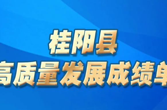 桂阳县：链式赋能打造产业新高地