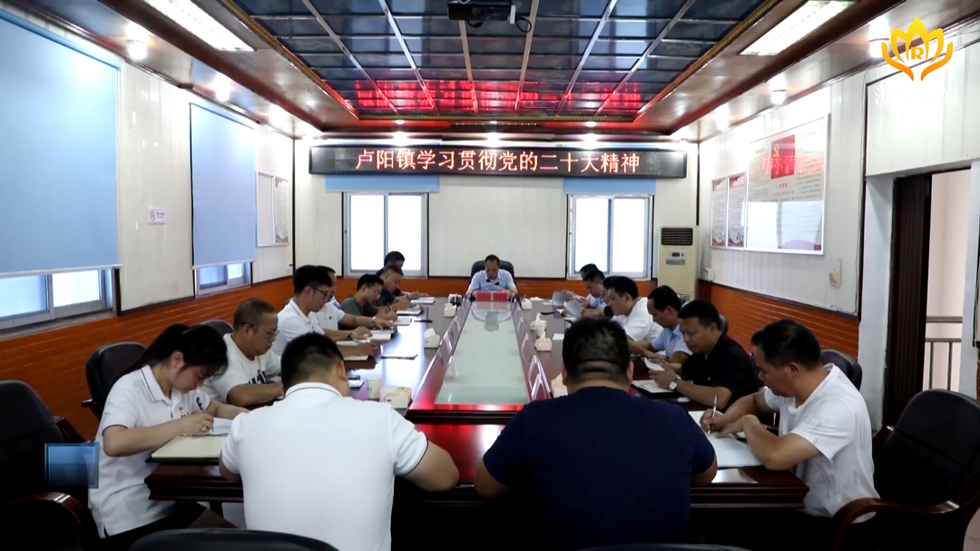【学习宣传贯彻党的二十大精神——感恩奋进 走在前列】卢阳镇：党的二十大精神指导实践 擦亮美好生活的安全底色和幸福底色