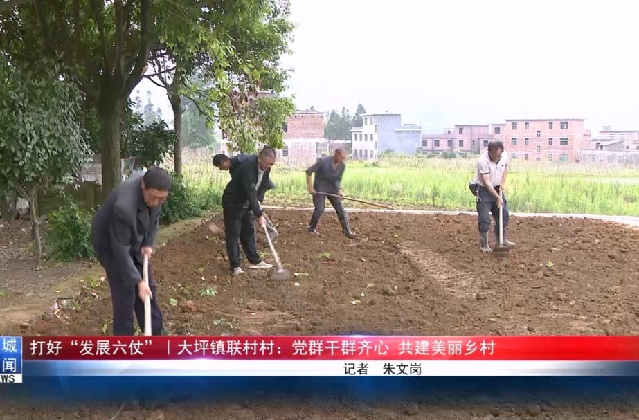 打好“发展六仗”︱大坪镇联村村：党群干群齐心 共建美丽乡村