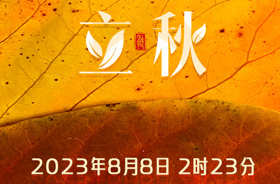 一～叶～知～秋～