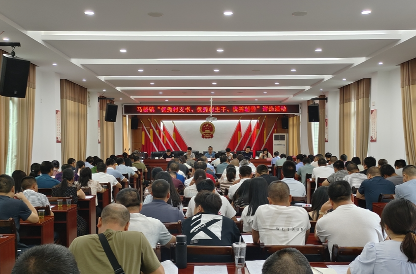 马桥镇：评选先进典型  激励担当作为
