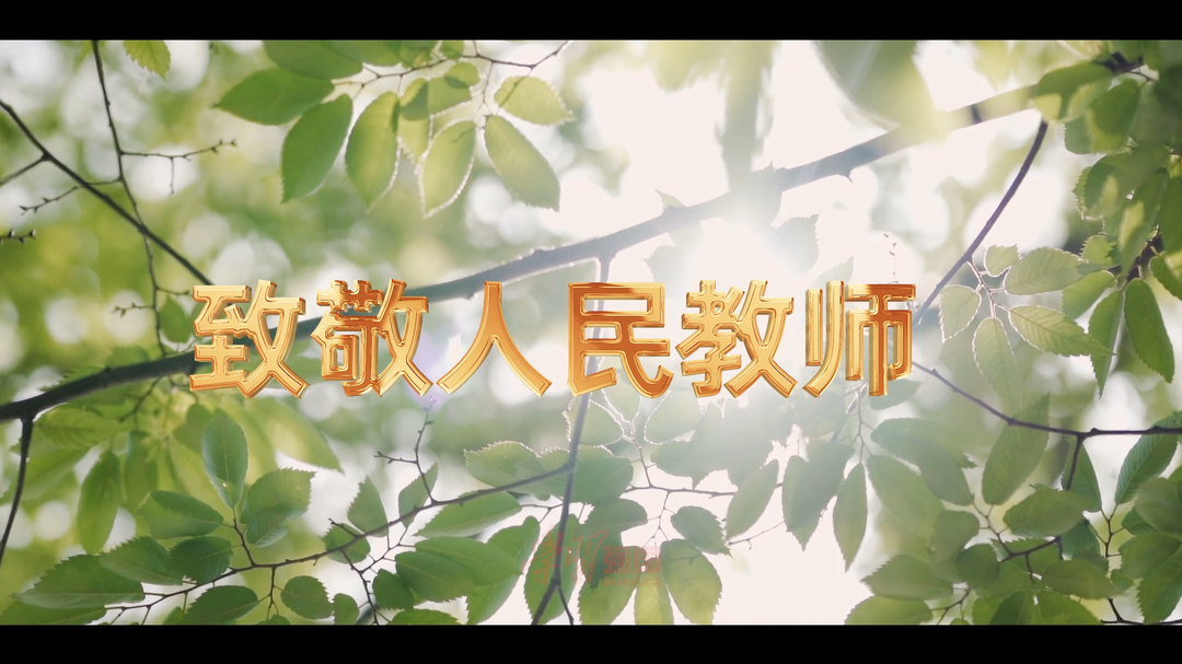 【感人瞬间】致敬人民教师