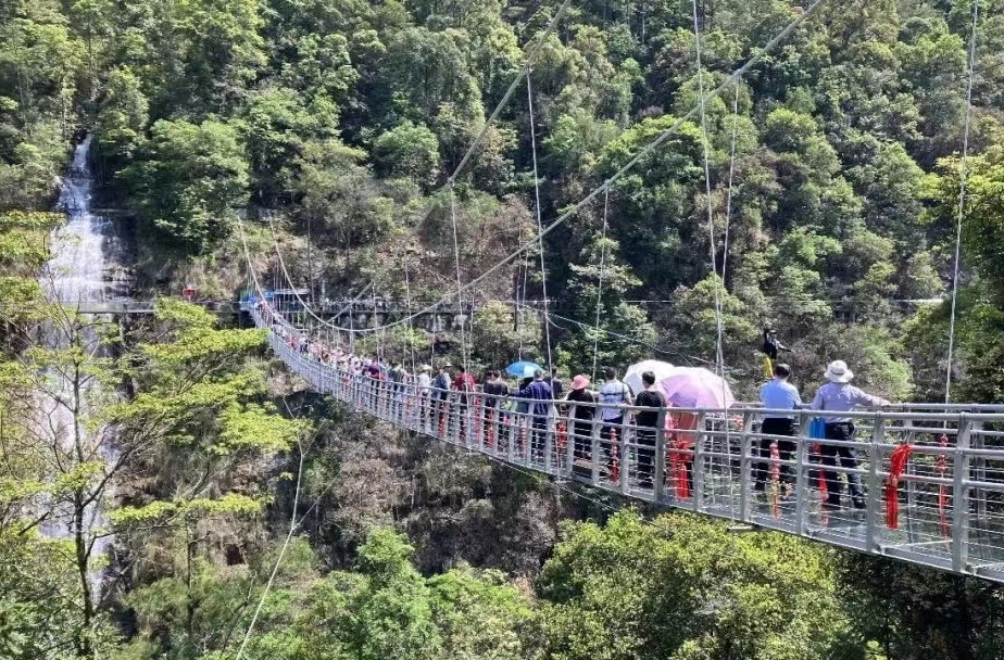 九龙江国家森林公园：打造生态旅游亮点，旅游人气持续升温
