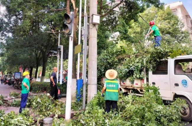 汝城县城管局：修剪城区主干道树枝提升路灯照明度