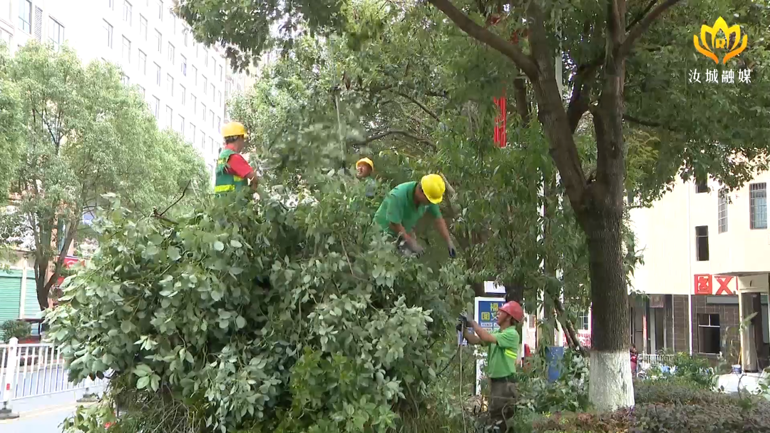 县园林绿化服务中心：组织园林工人修剪树枝 提升城市颜值