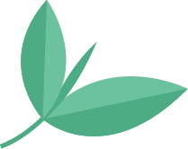 安全教育 | 拒绝校园欺凌，反对校园暴力