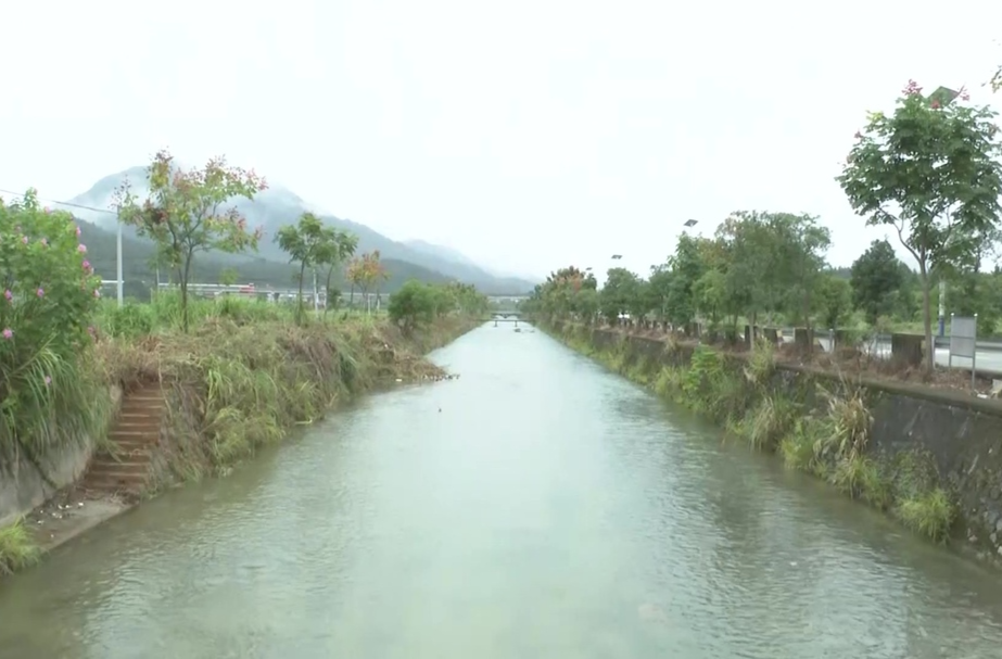 守护美丽河湖 委员在行动