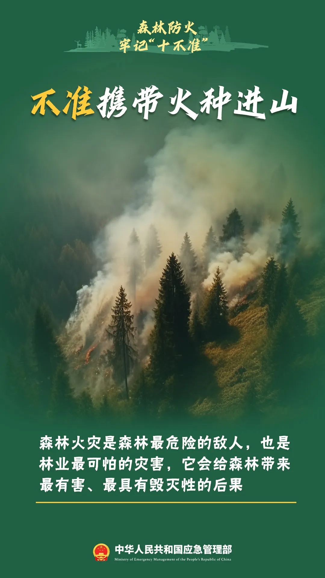 【森林防火】秋季天干物燥，进入森林千万不要做这十件事——
