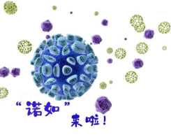 秋意渐浓，诺如病毒需警惕！