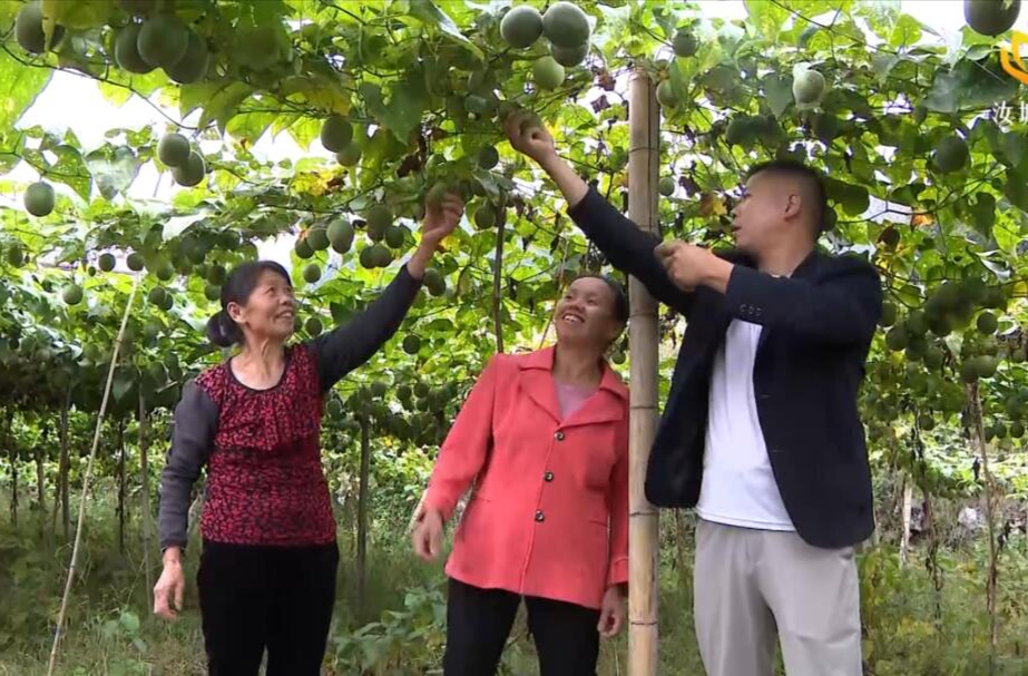 【学习宣传贯彻党的二十大精神--感恩奋进 走在前列】第十四期 延寿瑶族乡：盘活村集体经济收入 激发乡村振兴活力