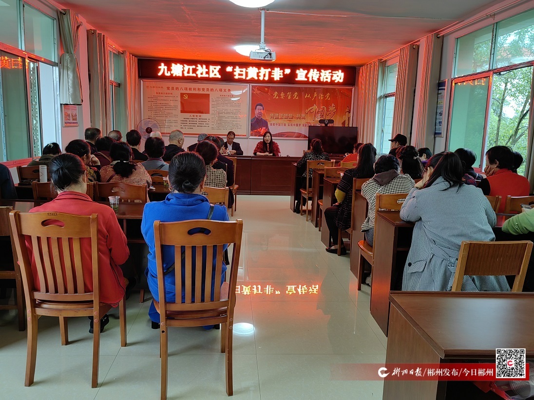 卢阳镇：“扫黄打非”宣传活动进小区