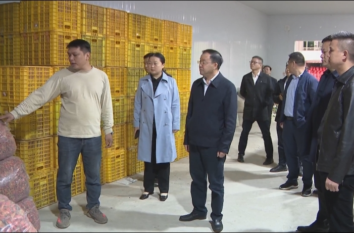 黄四平到延寿瑶族乡、马桥镇开展“四下基层”及“走找想促”调研活动