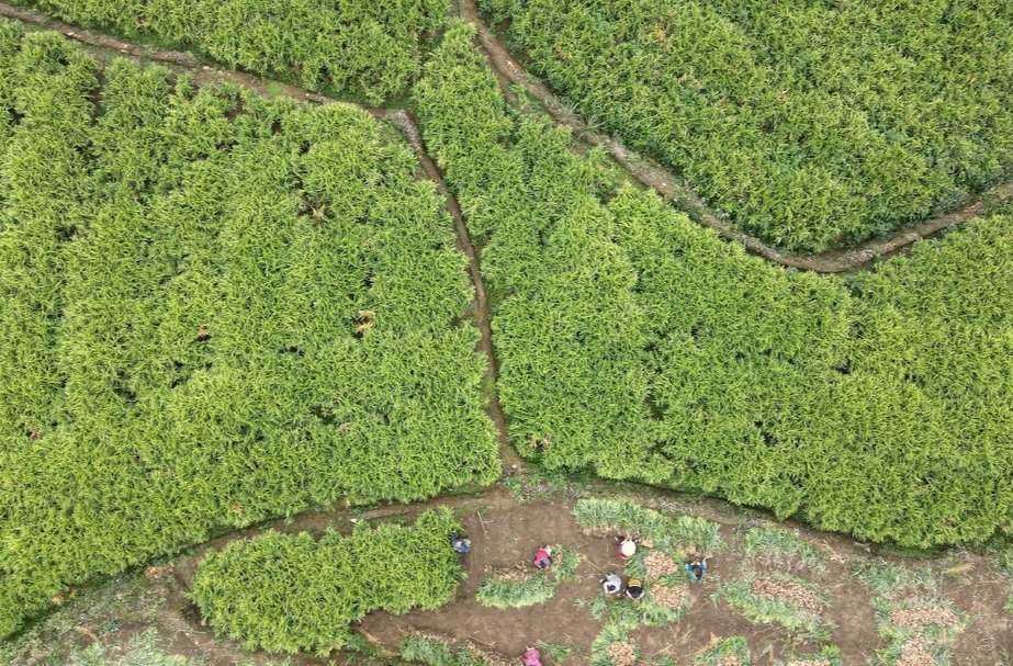 汝城县城乡建设用地增减挂钩及恢复耕地项目结“金果”