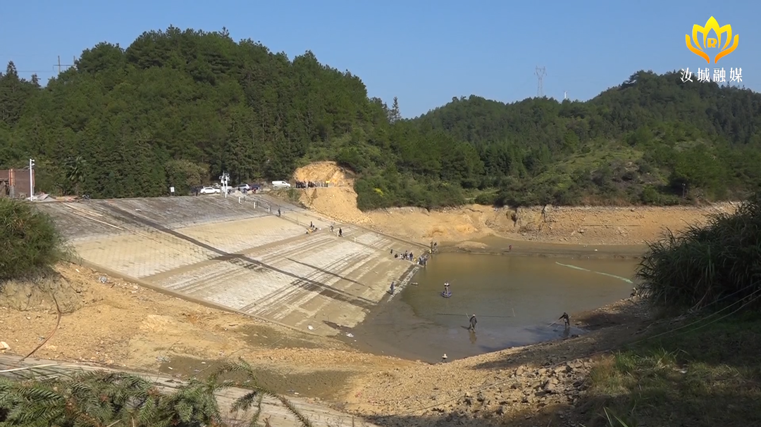 走基层 找问题 想办法 促发展 | 大坪镇：冬修水利正当时
