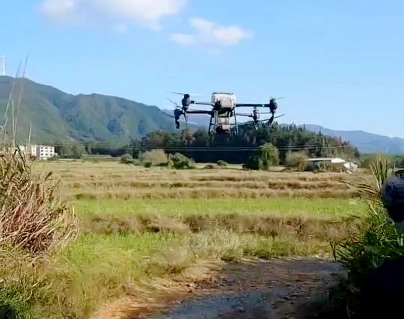 汝城县卢阳镇：无人机撒下油菜“种子雨”