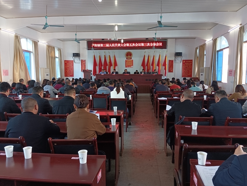 卢阳镇召开第三届人民代表大会第五次会议