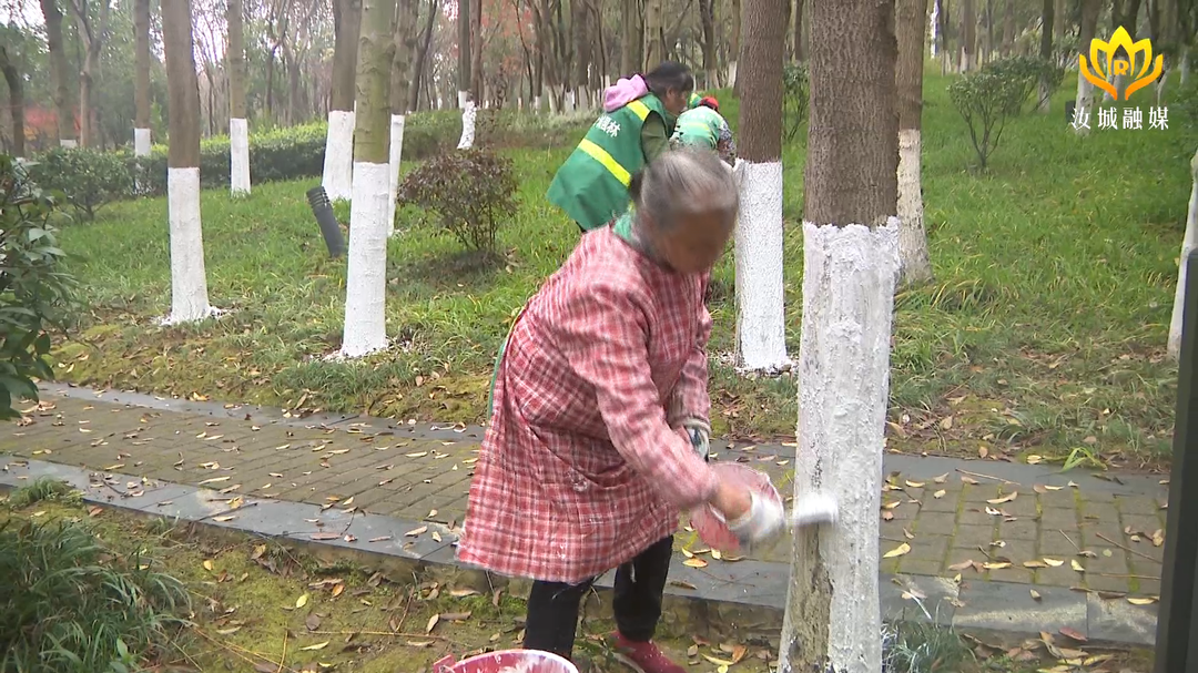 县园林绿化服务中心：开展冬季绿化养护 确保植物安全过冬