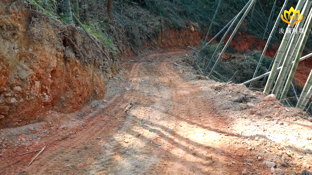 走基层 找问题 想办法 促发展 | 深山竹海修通路 昔日“荒山”变“金山”