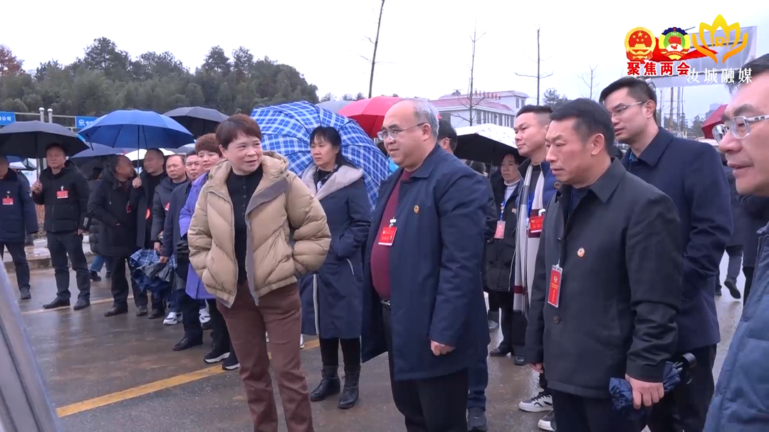 县政协委员开展视察活动
