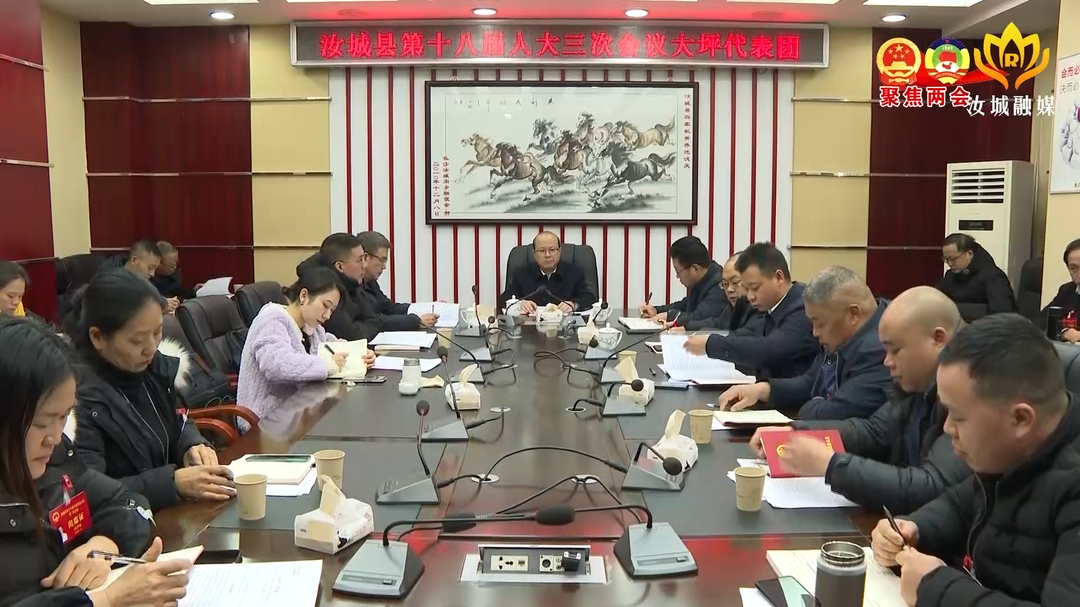 文建军参加大坪镇代表团分组讨论