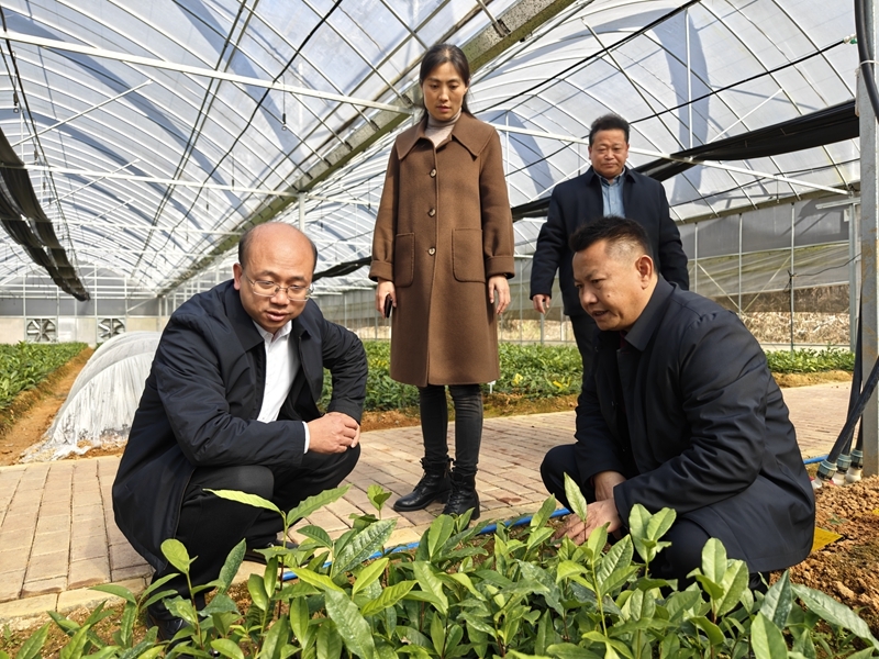 李超辉到三江口瑶族镇调研
