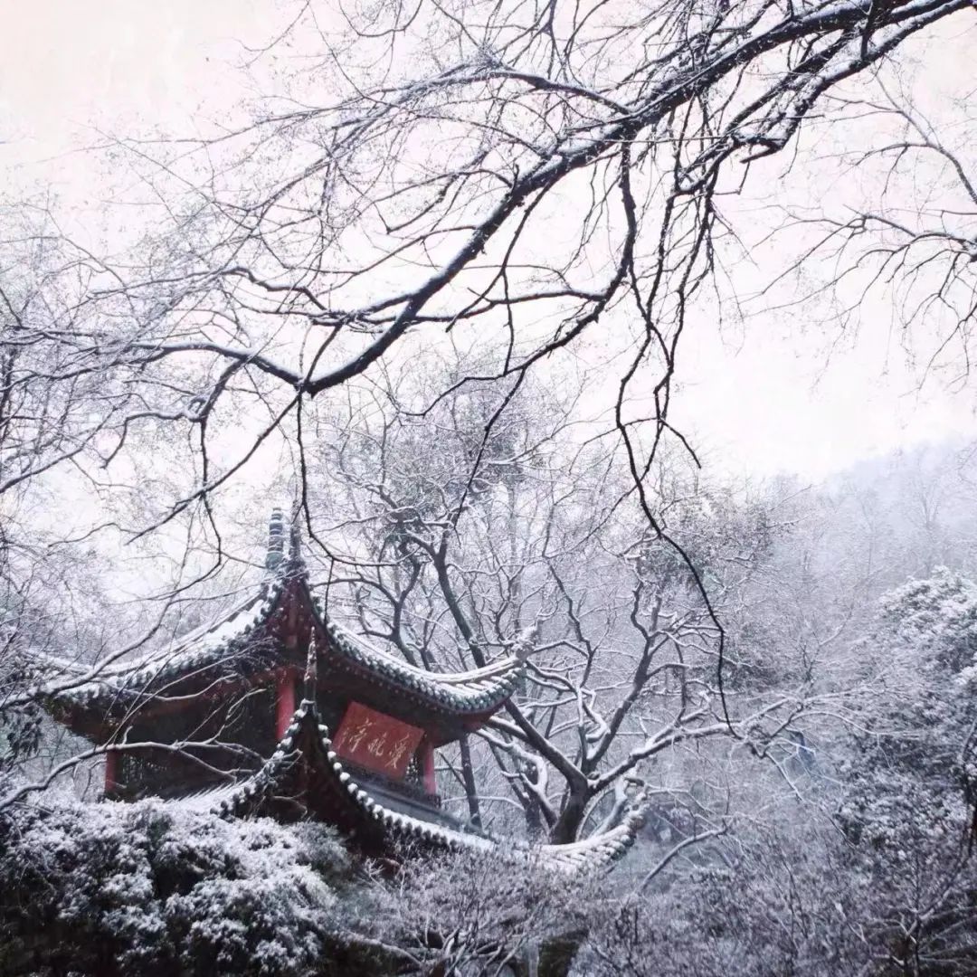 多家景区：暂停！