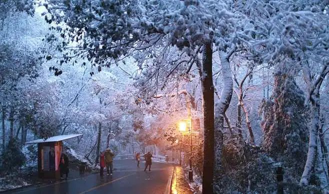 @所有人，雪天8大健康提醒请查收→