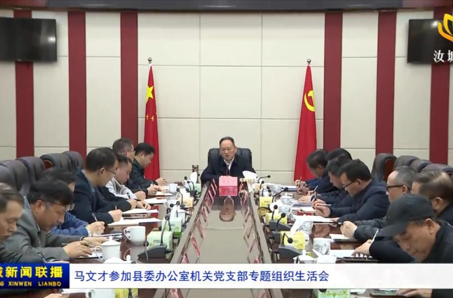 马文才参加县委办公室机关党支部专题组织生活会.