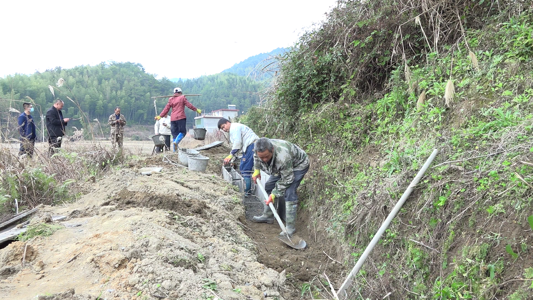 三江口瑶族镇：建设高标准农田 下好春耕备耕“先手棋”