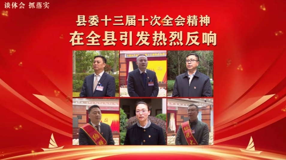 谈体会 抓落实 | 县委十三届十次全会精神引发热烈反响