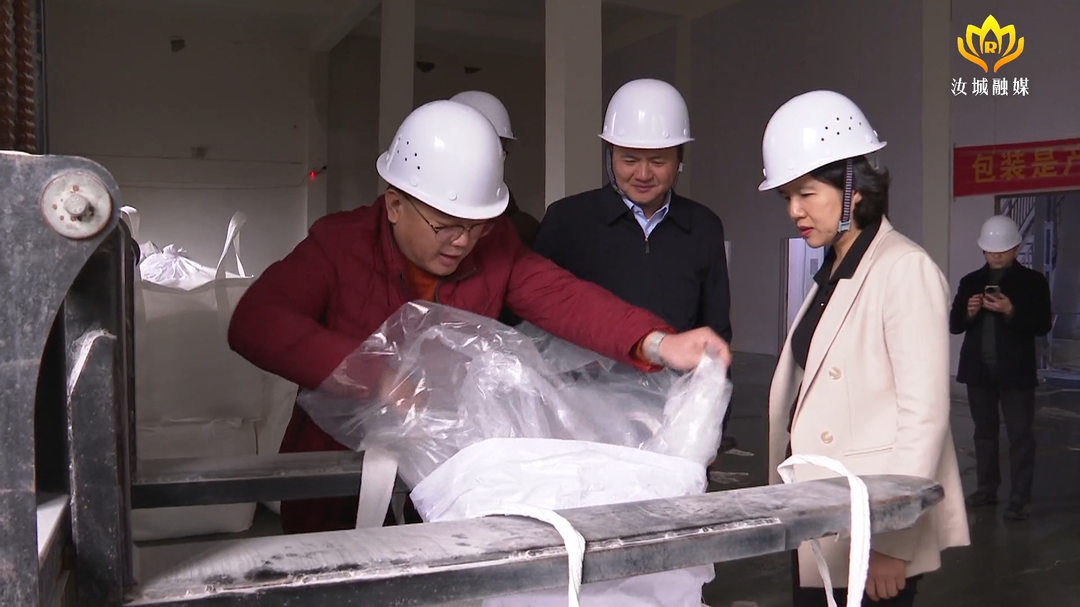 冯海燕来汝调研重点建设项目和产业发展情况