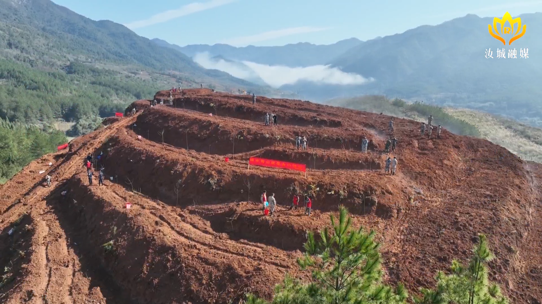 我县开展集中义务植树活动：让爱绿、植绿、护绿在全社会蔚然成风