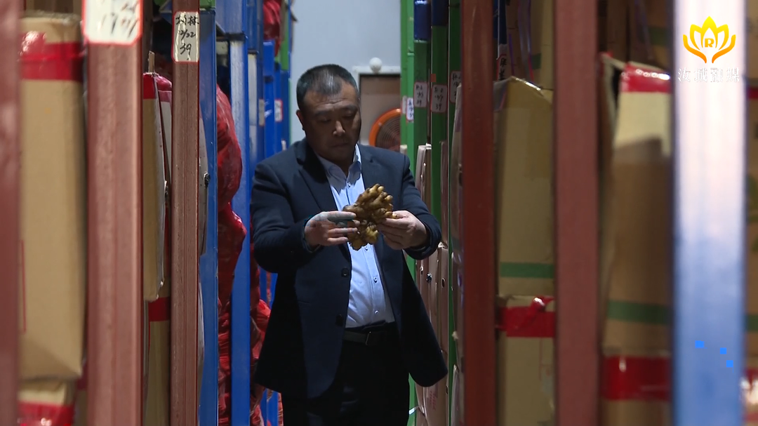 【我回家乡创新创业】朱万兵：让小黄姜走出深山  从区域拼向大江南北