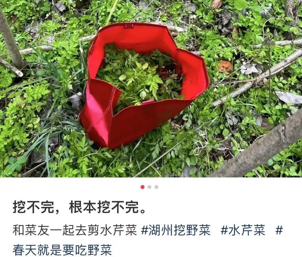 别碰！别吃！紧急提醒
