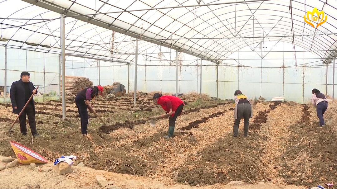 春耕备耕按下“加速键”