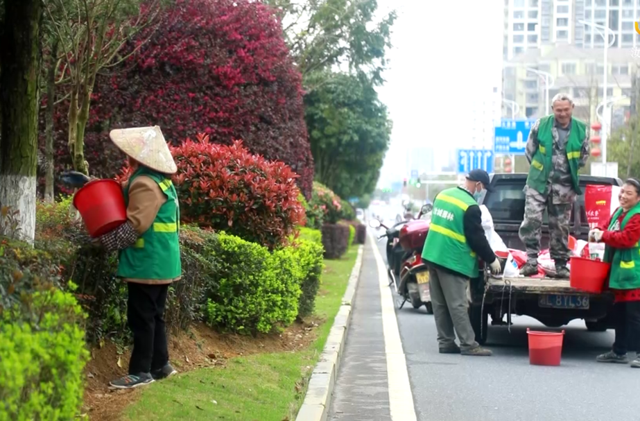 春日补植“扮”市容