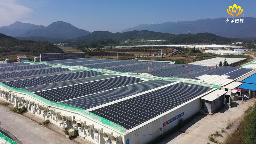 我县投资1.1亿元光伏发电项目正式并网发电