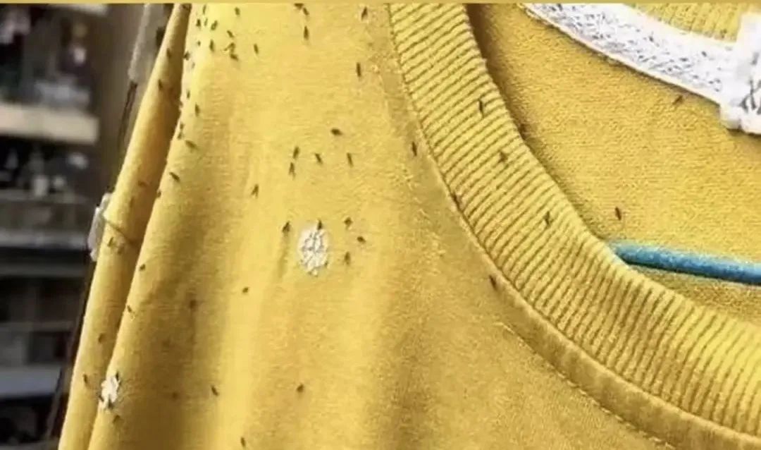 注意！最近少穿这种颜色的衣服出门