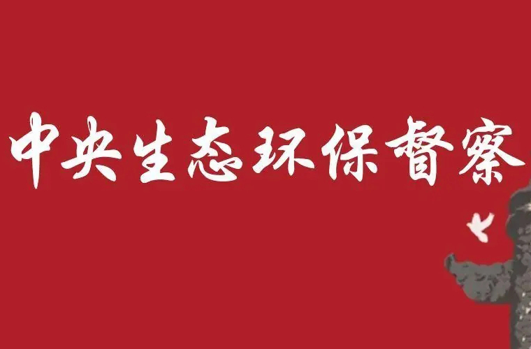 省委书记接连批示，“高度重视”成为关键词