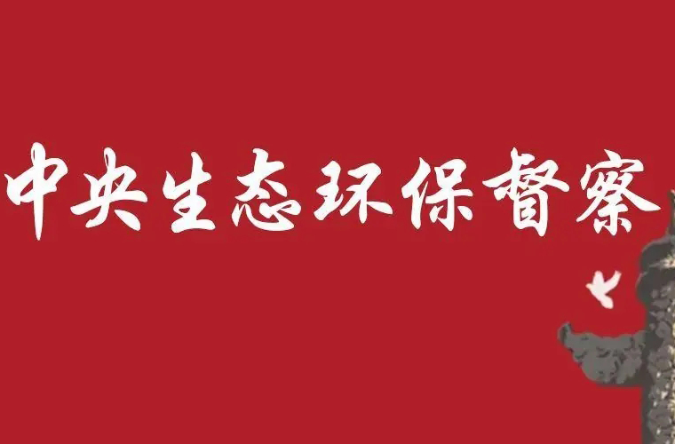 污水直排、剥皮毁林、非法采砂……中央生态环保督察通报七地典型案例