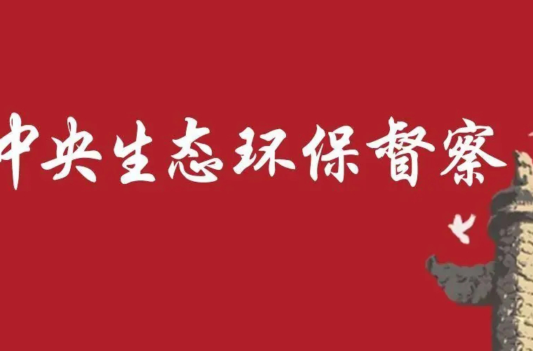 11件典型案例有7件非法倾倒，两部门严惩固废危废犯罪保护长江生态安全